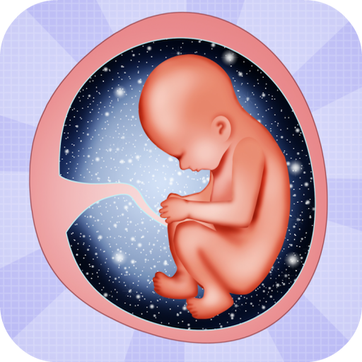 Pregnancy tips Week by week icon