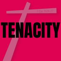 TENACITY! on 9Apps