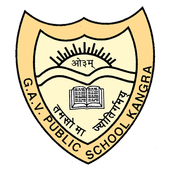 G.A.V. Public School icon