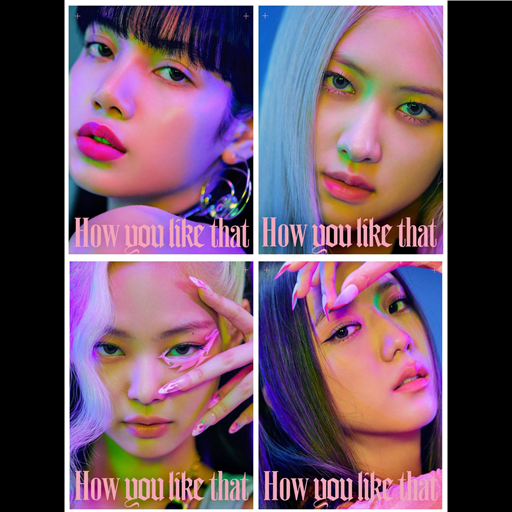 Blackpink - The Album 2020 icon