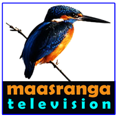 maasranga tv channel - বিশ্বকাপ ফুটবল লাইভ icon