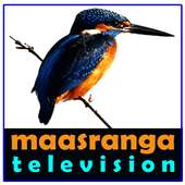 maasranga tv channel - বিশ্বকাপ ফুটবল লাইভ on 9Apps