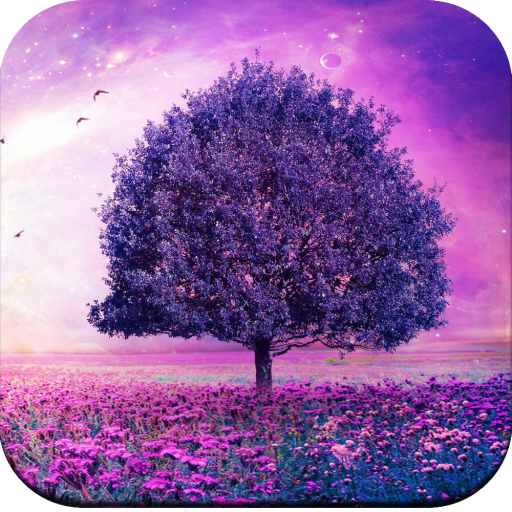 ikon Beautiful Wallpapers 4K