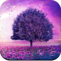 Beautiful Wallpapers 4K on 9Apps