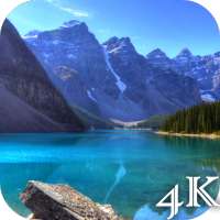 4K Live Wallpapers on 9Apps