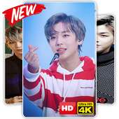 Wanna One Wallpaper KPOP HD Live on 9Apps