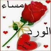 اجمل رسائل مساء الخير ... icon