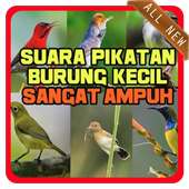 Kumpulan Suara Pikat Burung Kecil Ampuh Terlengkap on 9Apps