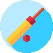 Mini Cricket icon