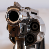 live gun wallpapers icon