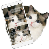 Cute Cat Keyboard icon