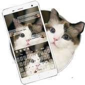 Cute Cat Keyboard