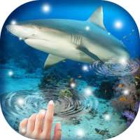 Water Drop - Fish Aquarium Live Wallpaper on 9Apps