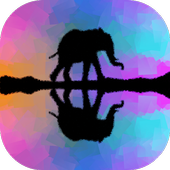 Pic Mirror Effect icon