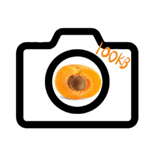 Image Reduce Camera 2021 Apricamera 100kb आइकन