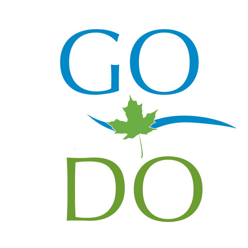 Go Do Lee County, IL icon