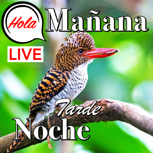 Buenos dias a la noche amor أيقونة