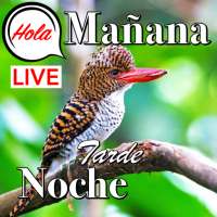 Buenos dias a la noche amor on 9Apps