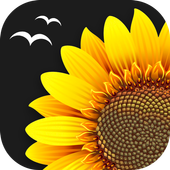 Gallery : Gallery Vault icon