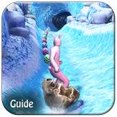 Guide For Temple Run 2