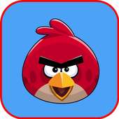 Bird Wallpaper on 9Apps