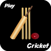 Watch Cricket-Champions Trophy icon