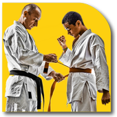 Karate Techniques icon