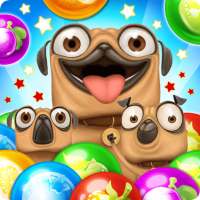 Pug Pop Bubble Shooter: Dog Bulldog Shoot Ball Egg