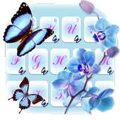 Цветок любви бабочки on 9Apps