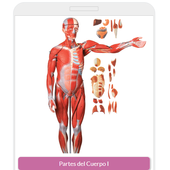 Clasifica Partes del Cuerpo Humano icon