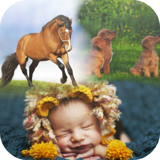 PicMix Free , Insta Collage icon