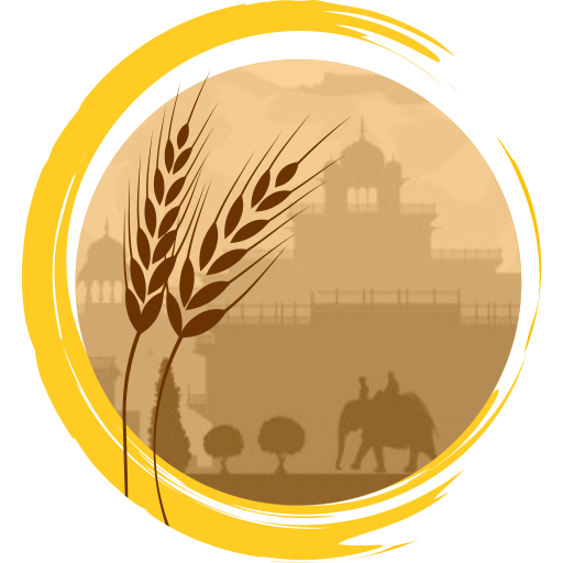 Majera Social App icon