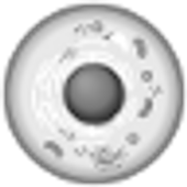 Cell Wars icon
