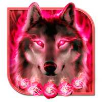 Angry Wolf Live wallpaper