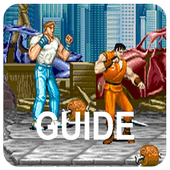 Guide for Final Fight icon