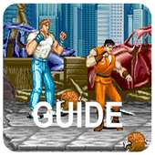 Guide for Final Fight
