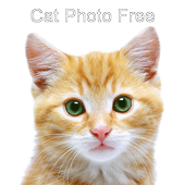 Cat Photo Free icon