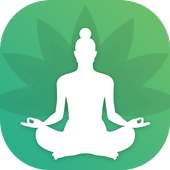 Daily Yoga - Meditation, Fitness Plans For Women