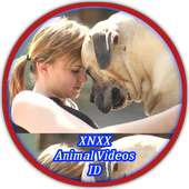 xnxx Animal Videos ID