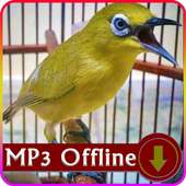 Suara Burung Pleci Offline on 9Apps