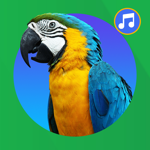 Bird Sound And Ringtones icon