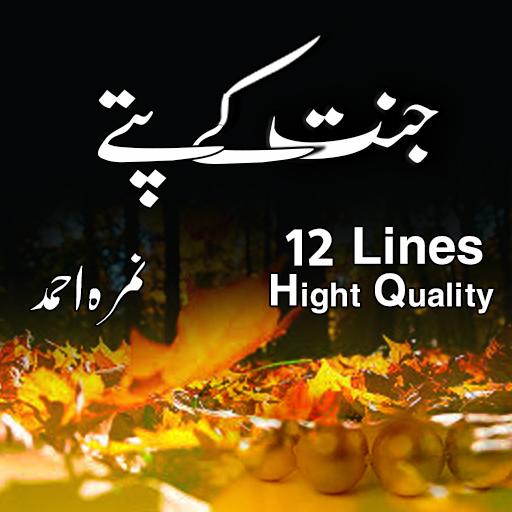 Jannat Kay Patty - HD icon