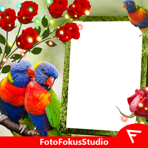 Rainbow Lorikeet Insta DP icon