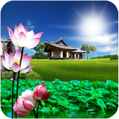 Lotus live wallpaper icon