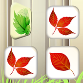 Memory game for kids icon