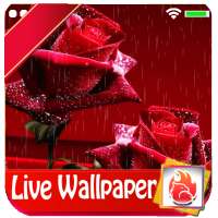Red Rose Live Wallpaper on 9Apps