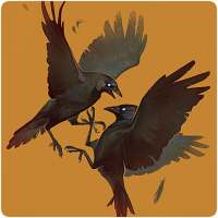 Raven Wallpapers on 9Apps