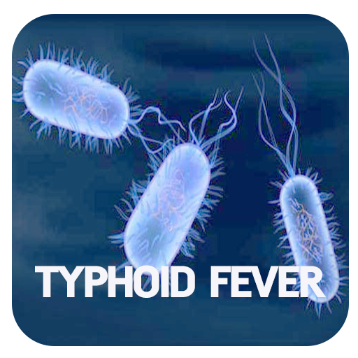Typhoid Fever Disease icon