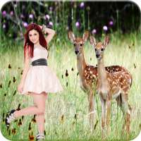 Wildlife Photo Frame on 9Apps