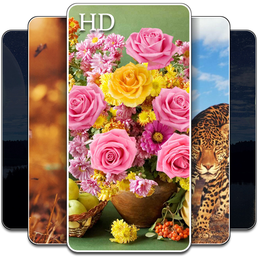 خلفيات الشاشة : خلفيات روعة بدون انترنت أيقونة